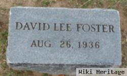 David Lee Foster