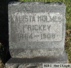 Kalista A. Holmes Frickey