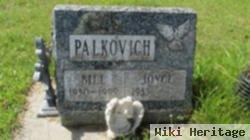 William Palkovich