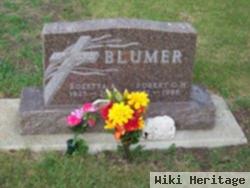 Robert G Blumer