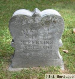 Mary Agnes Titus Perkins