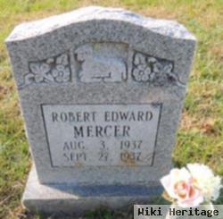 Robert Edward Mercer