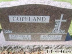 Robert L Copeland