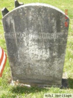 Simon L. Briggs