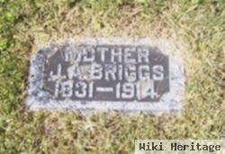 J A Briggs