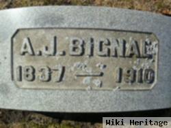 Alfred J Bignal