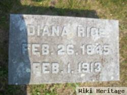 Diana Ricks Rice