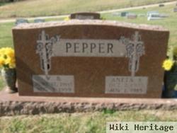 William Bernard Pepper, Iii