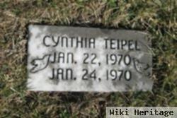 Cynthia Ann Teipel