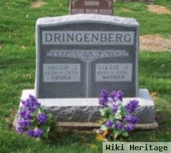 Jacob John "jake" Dringenberg