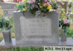 Allie M. Rich Amonett