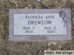 Patricia Ann Drewlow