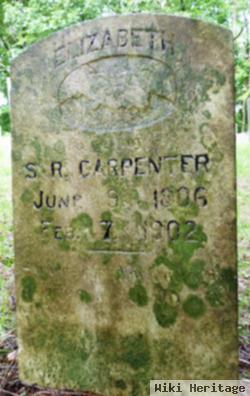 Elizabeth Finley Carpenter