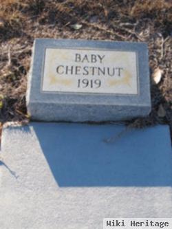 Baby Chestnut