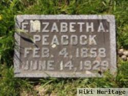 Elizabeth A Sedgwick Peacock