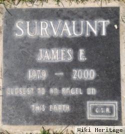 James E Survaunt