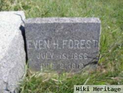 Even H Forest