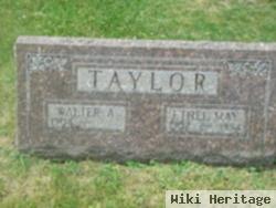 Walter A Taylor