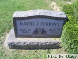 David J. Perkins