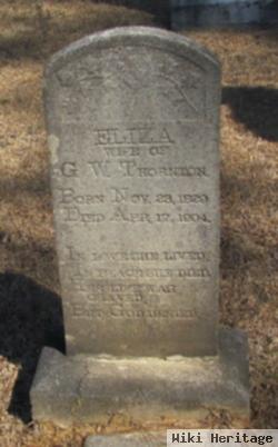 Eliza Wilson Thornton