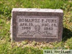 Romanus P Junk