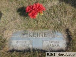 Alvina Dorothea Witt Kline