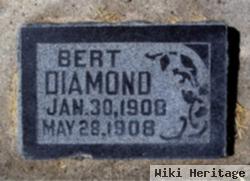 Bert Diamond