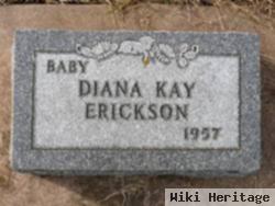 Diana Kay Erickson