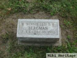 Dennis Lloyd Bergman