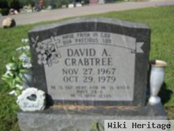 David A Crabtree