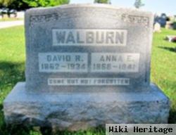 David R Walburn