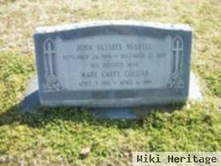 Mary Carey Collins Voshell