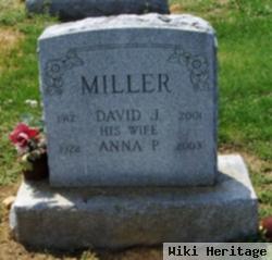 David J Miller