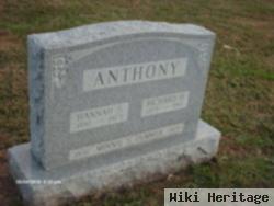 Richard H Anthony