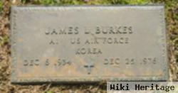 James L. Burkes