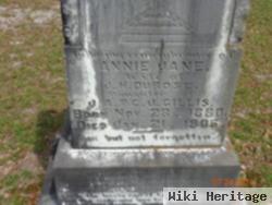 Annie Jane Gillis Dubose