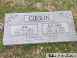 Jim Gibson