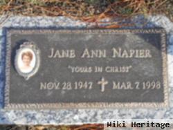 Jane Ann Curnow Napier