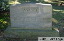 Hiram Johnson Ankney