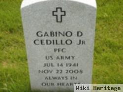 Gabino D "gabe" Cedillo, Jr
