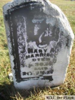 Mary A Harrison