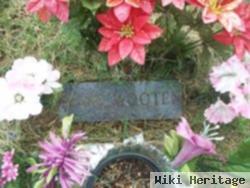 Mary Ann Hollis Wooten