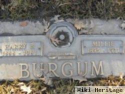 Harry B. Burgum