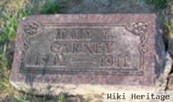 Mary L Carney