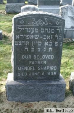 Mendel Shapiro