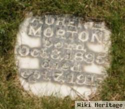 Auren E. Morton