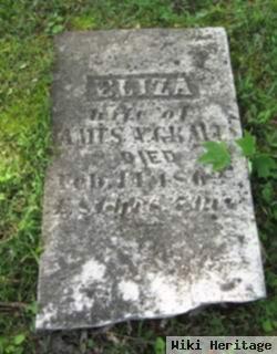 Elizabeth "eliza" Nicholson Graves