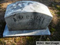 Annie M Bliley