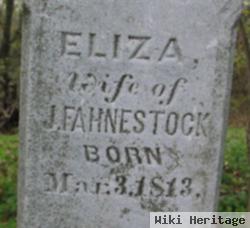 Eliza Hamilton Fahnestock