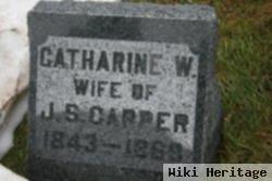 Catherine Wealthy Horton Carper